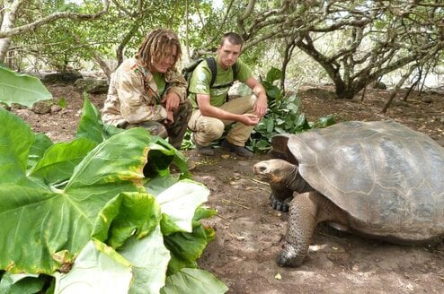 Projects Abroad Volunteer Programs in the Galapagos